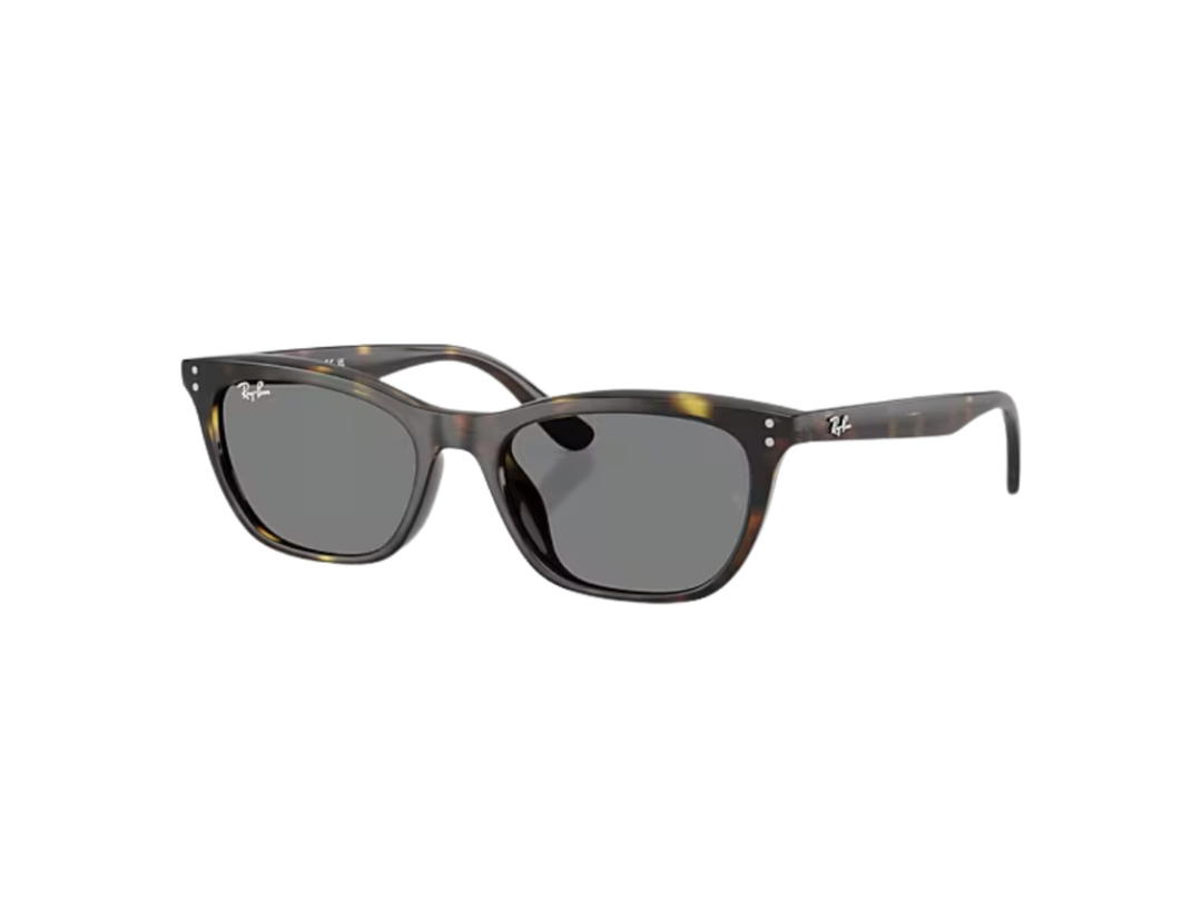 Ray-Ban Ray-ban RB4474D Dark Grey
