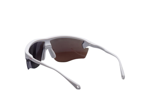Ridar Ridar Maintain R011 Platinum Gray R+ Clear Photochromic Spectacular - view 6