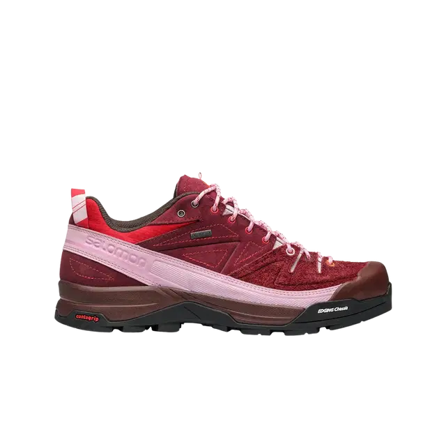 Salomon Salomon x The Broken Arm X-Alpages GTX Biking Red - view 2