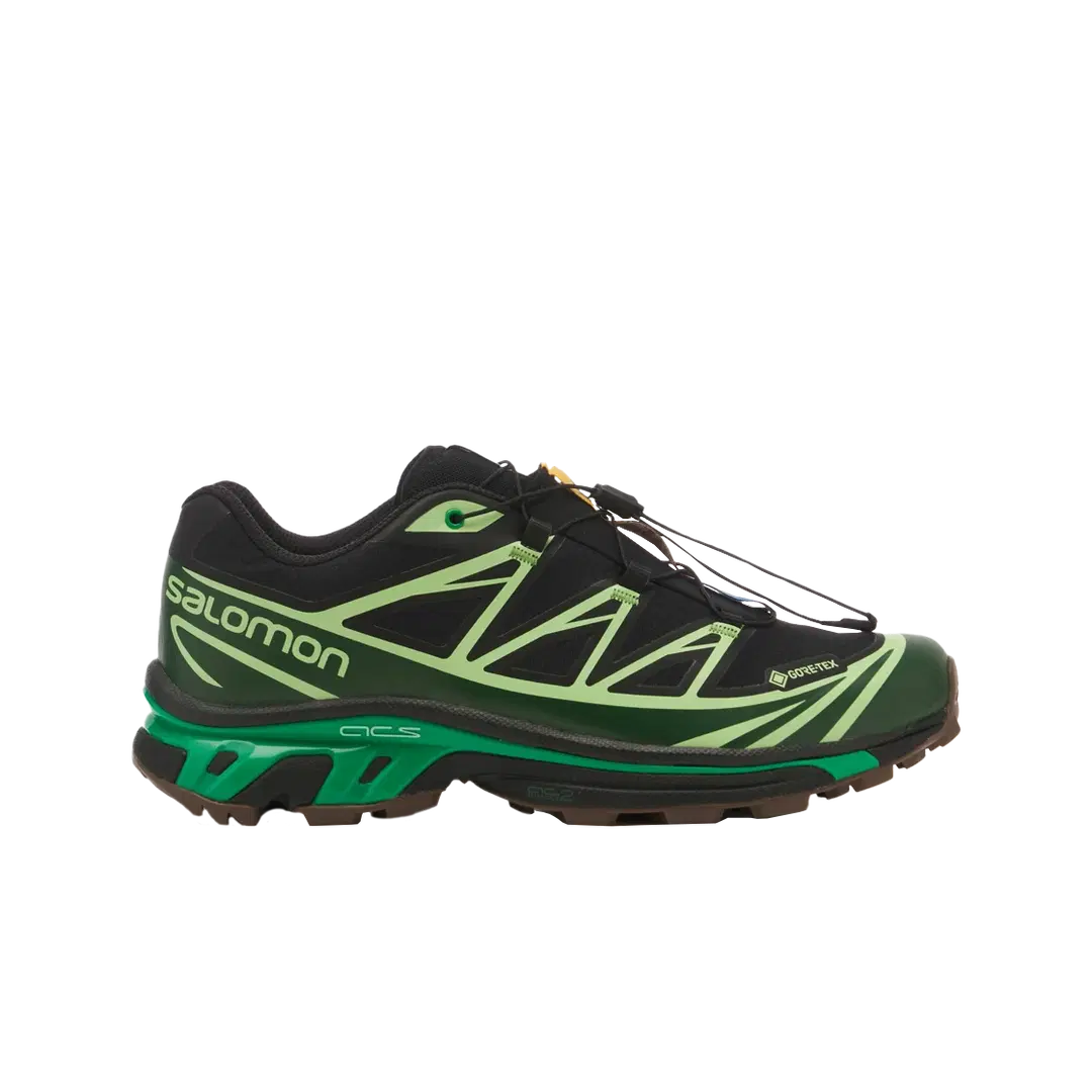 Salomon Salomon Advanced XT-6 Gore-Tex Eden Green Ash