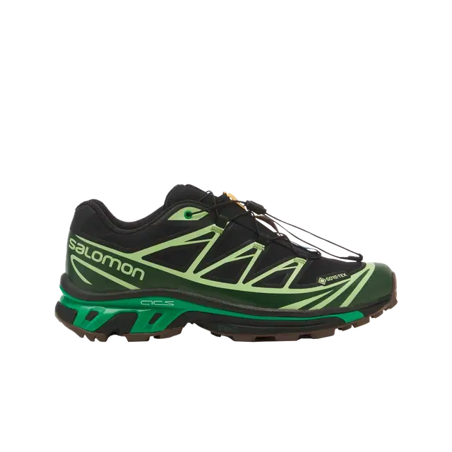 Salomon Salomon Advanced XT-6 Gore-Tex Eden Green Ash - view 1