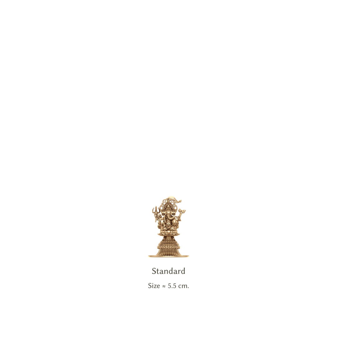 RAVIPA Standard Ganesha Aishwarya