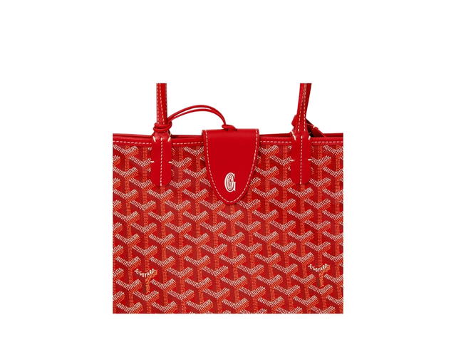 Goyard Goyard Saint Louis PM Bag Croc Universel Red - view 5