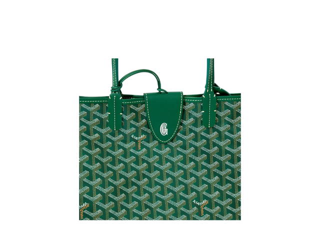 Goyard Goyard Saint Louis PM Bag Croc Universel Green - view 5