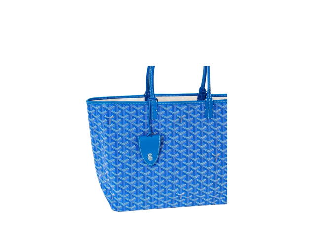 Goyard Goyard Saint Louis PM Bag Croc Universel Sky Blue - view 4