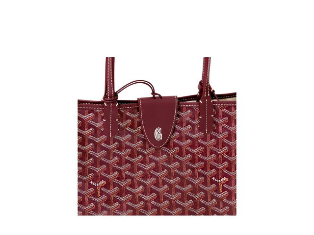 Goyard Goyard Saint Louis PM Bag Croc Universel Burgundy - view 5