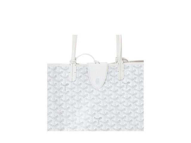 Goyard Goyard Saint Louis PM Bag Croc Universel White - view 5