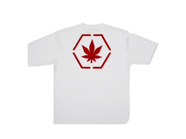 StonedandCo Colours : Genetic Hexagon Tee White - view 2