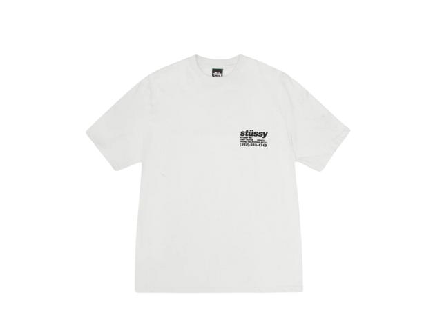Stussy Stussy DNA Tee Pigment Dyed Natural (FW24) - view 2