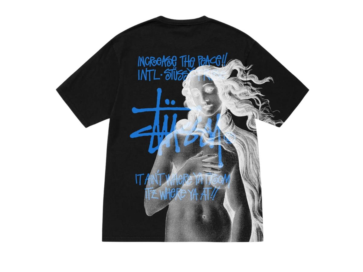 Stussy Stussy Ist Venus Pig. Dyed Tee Black