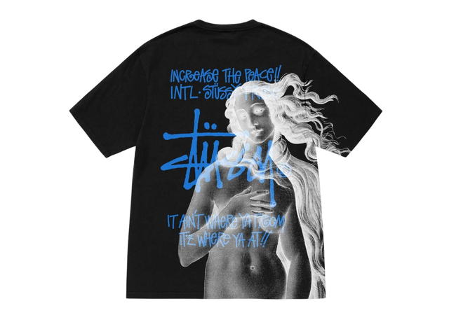 Stussy Stussy Ist Venus Pig. Dyed Tee Black - view 1