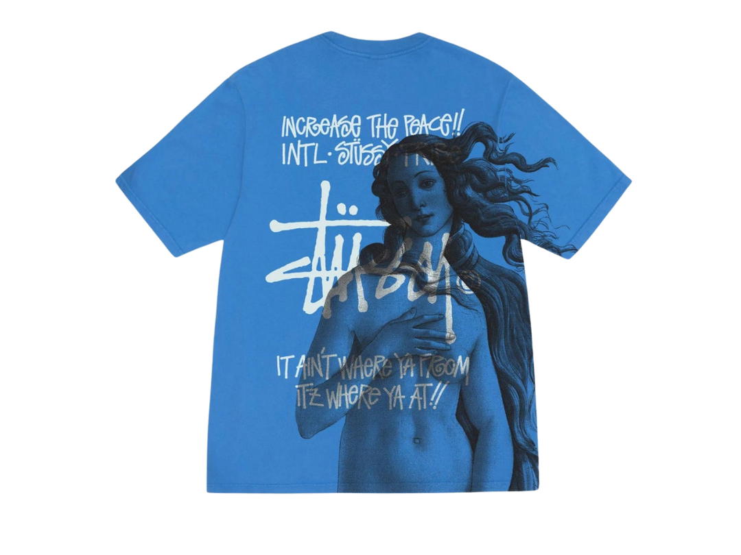 Stussy Stussy Ist Venus Pig. Dyed Tee Blue