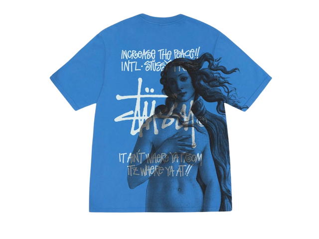 Stussy Stussy Ist Venus Pig. Dyed Tee Blue - view 1