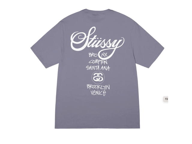 Stussy Stussy World Tour Tee Mauve - view 2