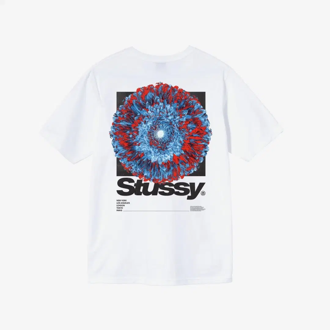 Stussy Stussy Young Organics T-Shirt White