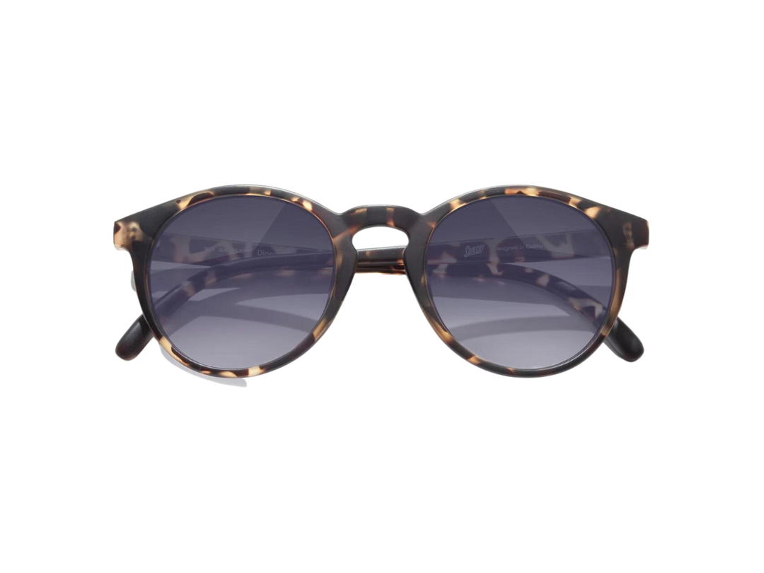SunSki Sunski Dipsea Tortoise Ocean