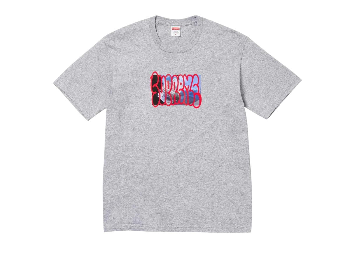 Supreme Supreme Payment Tee Heather Grey
