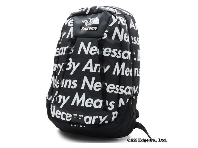 Supreme SUPREME/THE NORTH FACE BACKPACK - view 2