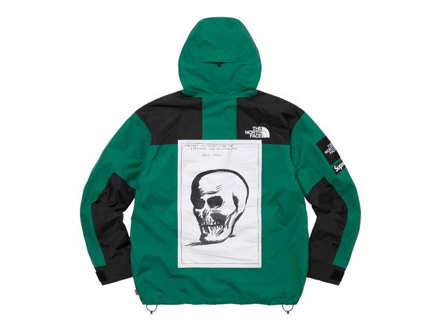 Supreme Supreme The North Face Mountain Jacket Green (FW24) - view 2