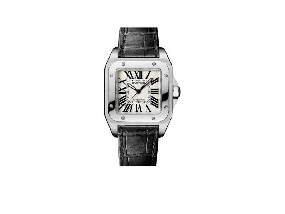 Cartier Cartier Santos Silver