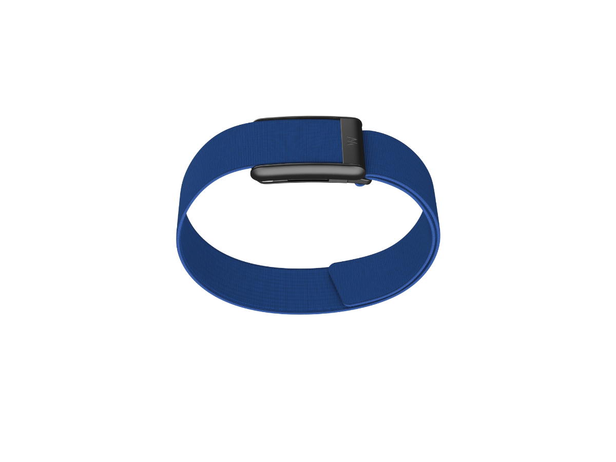 Whoop Whoop 5.0/MG CoreKnit Bicep Band Royal Blue (Bands Only)