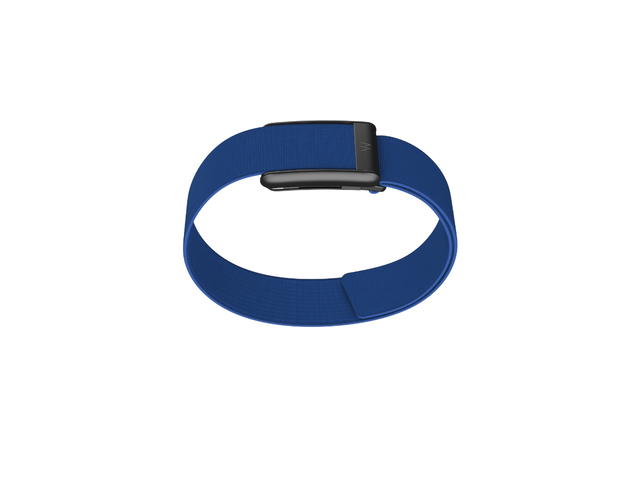 Whoop Whoop 5.0/MG CoreKnit Bicep Band Royal Blue (Bands Only) - view 1
