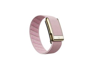 Buy Whoop MG Set SuperKnit Blush (Bands Gold Edition) at Sasom – Authentic and Ready to Ship
