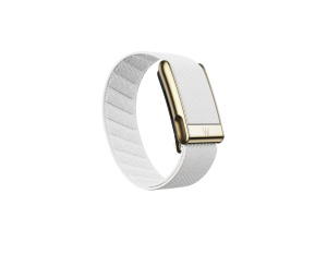 Buy Whoop MG Set SuperKnit Glacier (Bands Gold Edition) at Sasom – Authentic and Ready to Ship