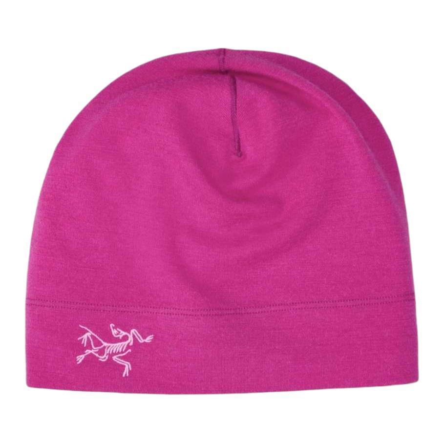 Arc'teryx Arc'teryx Merino Wool Beanies Unisex Purple