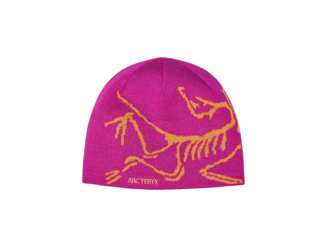Arcteryx Arc'teryx Bird Head Toque Amaranthus-Edziza