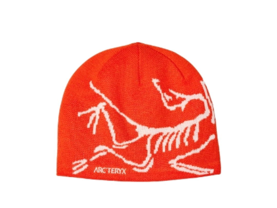Arc'teryx Arc'teryx Bird Head Toque Dynasty Arc Silk