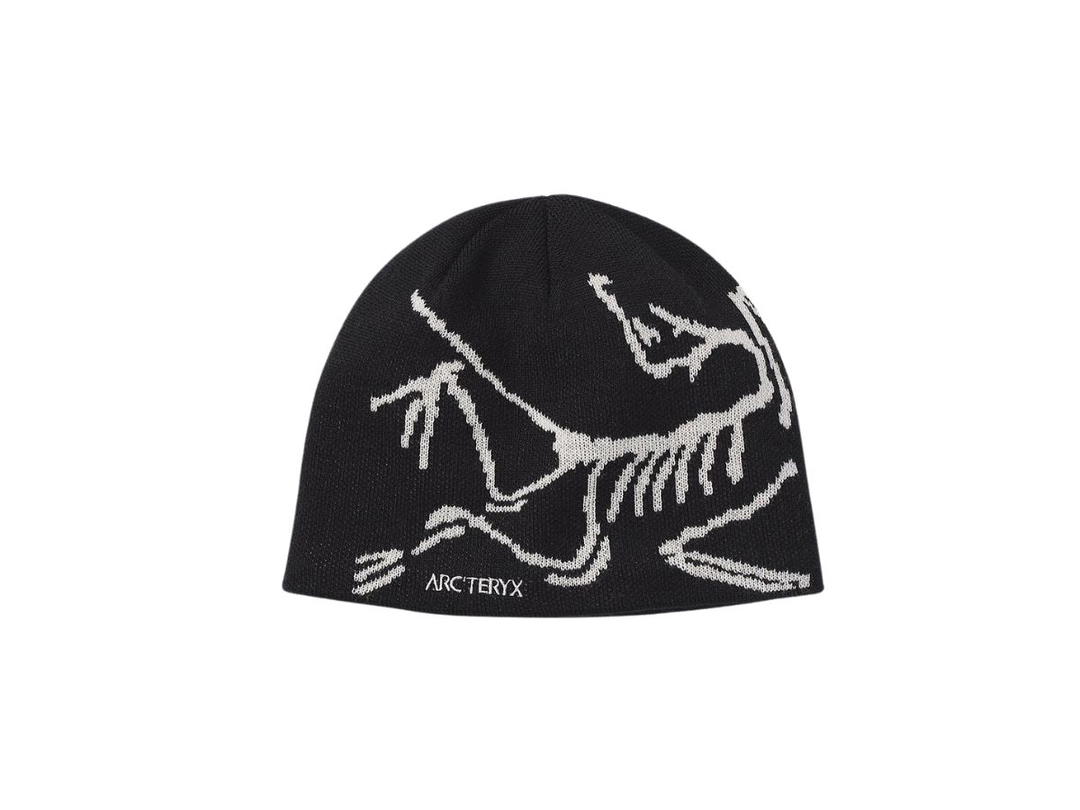 Arc'teryx Arc'teryx Bird Head Toque Orca