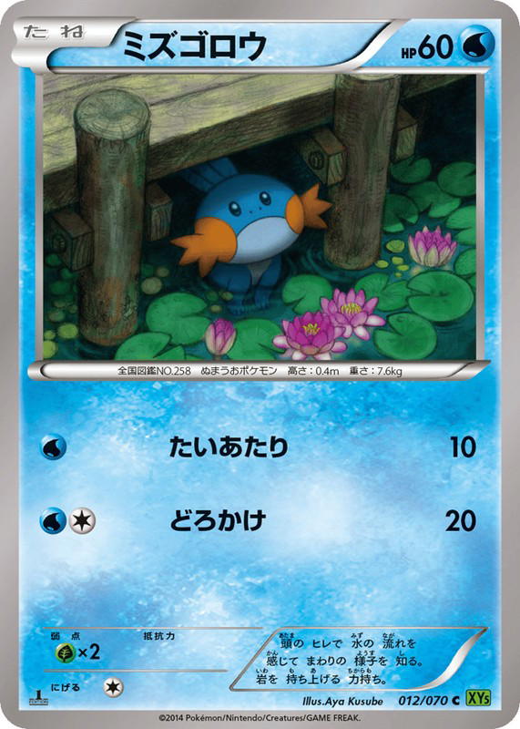 Pokemon Pokemon Mudkip C [XY5 012/070] XY "Tidal Storm" [FirstEdition] (JP)